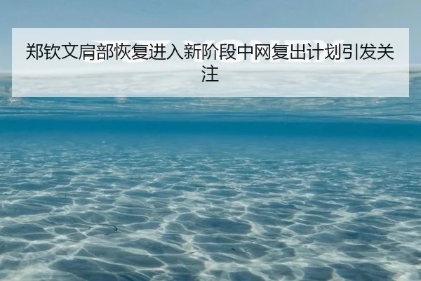郑钦文肩部恢复进入新阶段中网复出计划引发关注